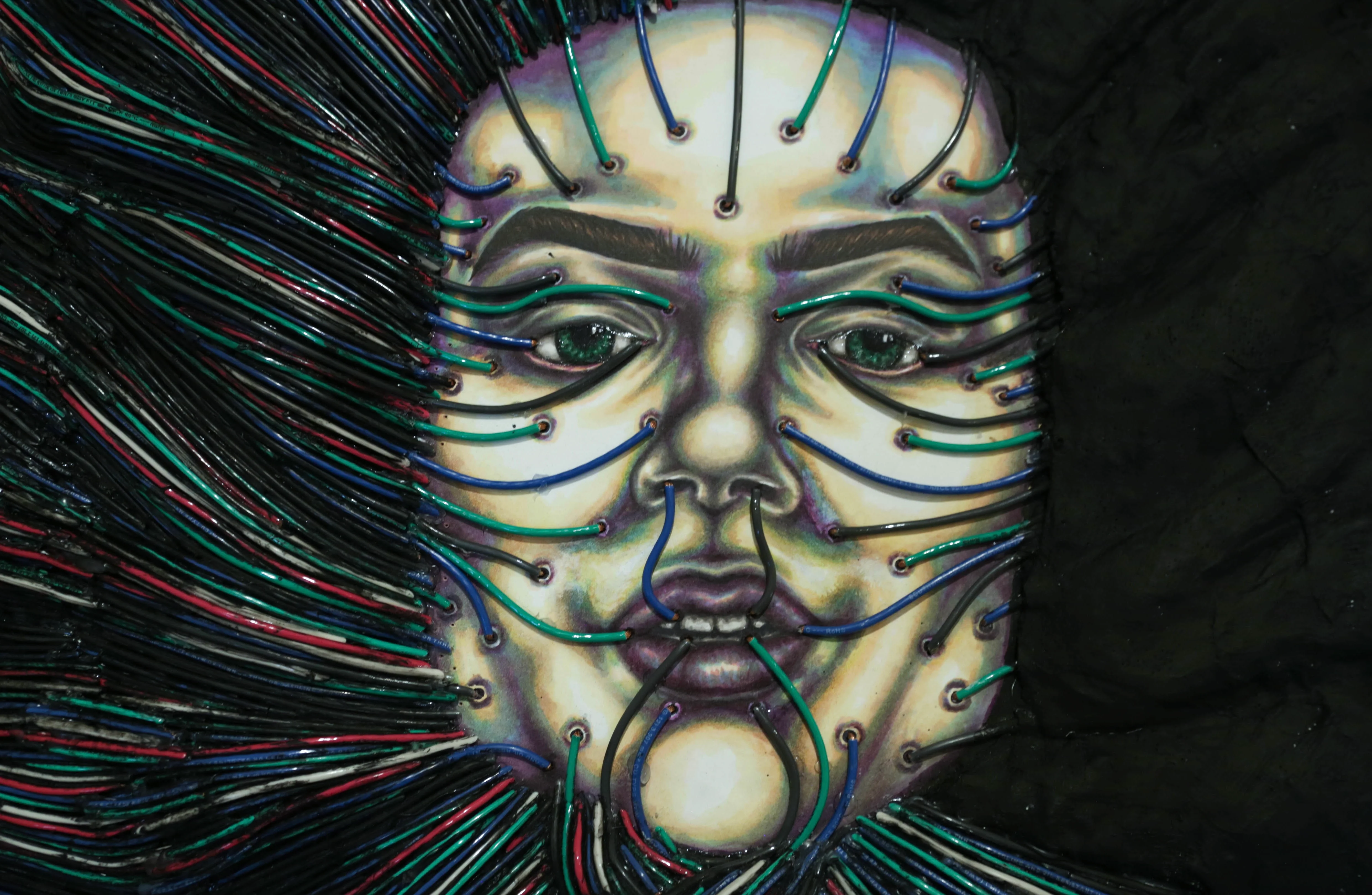 Taylor Violet Ross | Forensic Artist