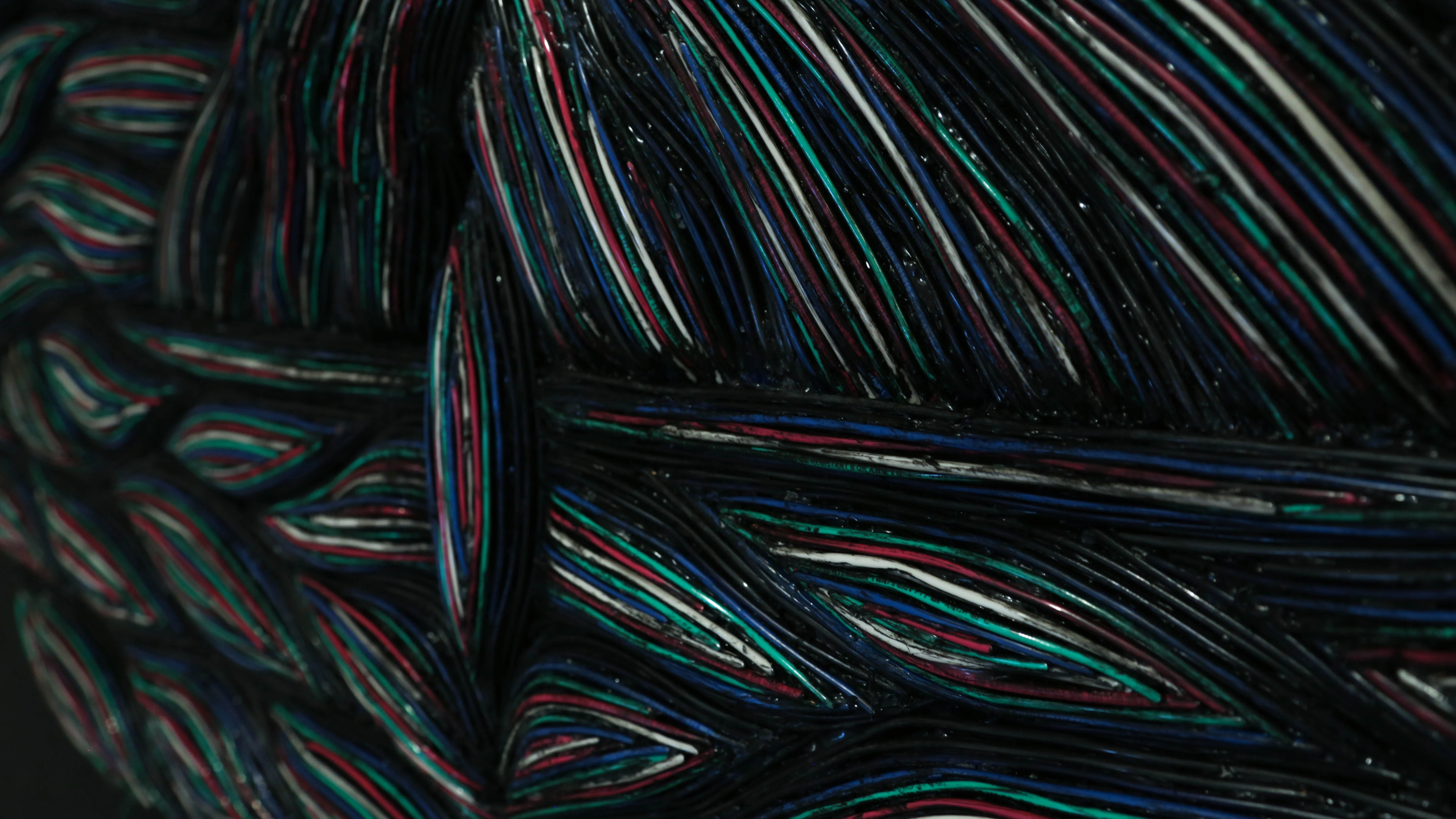 Taylor Violet Ross | Forensic Artist