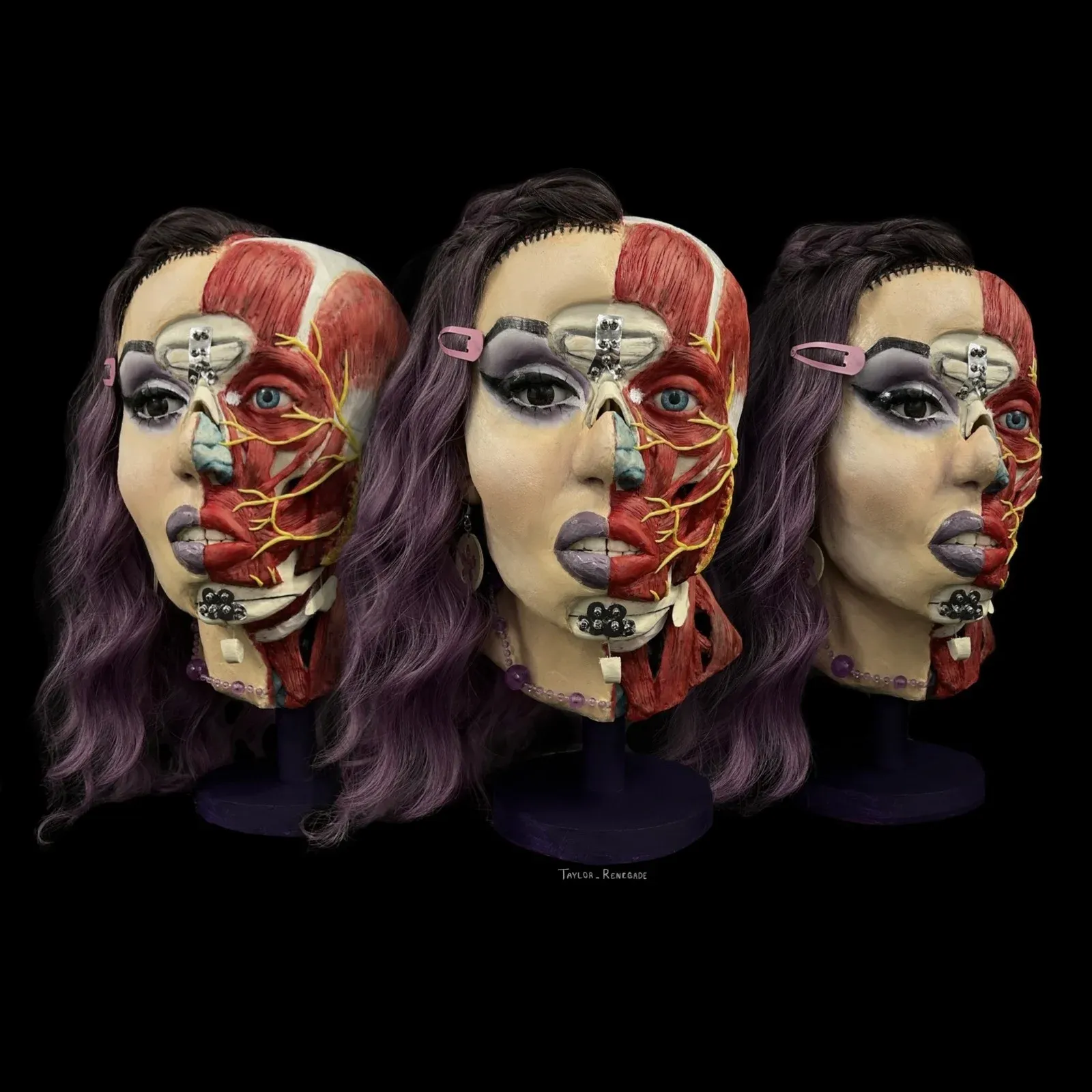 A sculpture/ecorche of a woman undergoing facial feminization surgery exhibiting the different areas of surgery.